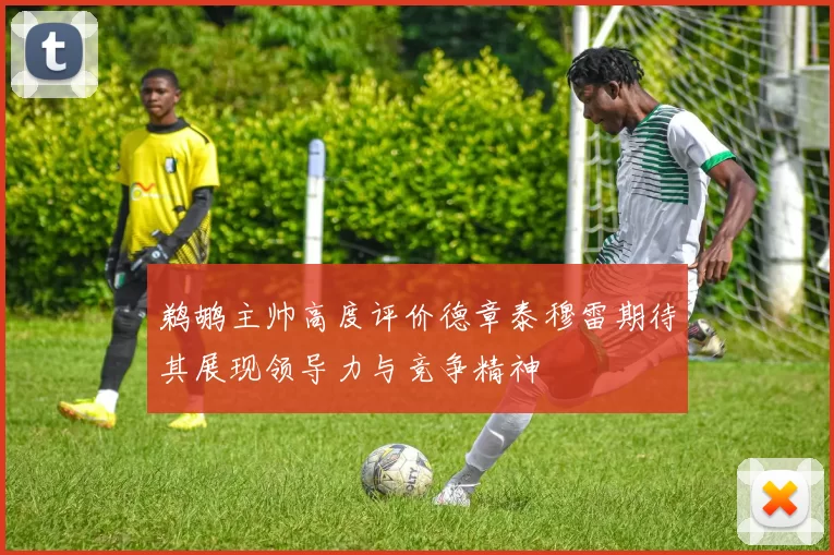 鹈鹕主帅高度评价德章泰穆雷期待其展现领导力与竞争精神